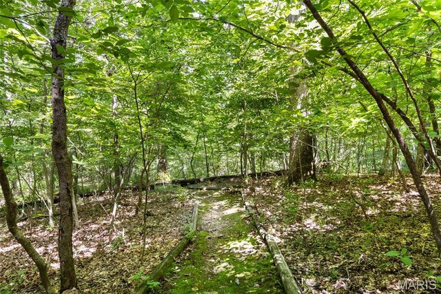632 Wunderbar Point Drive, Innsbrook, MO 63390