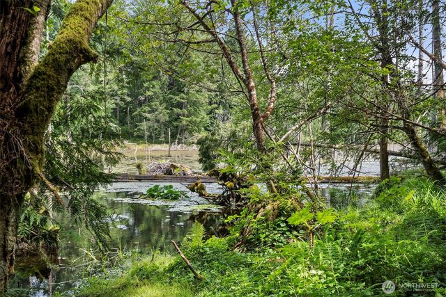 12611 194th Ave NW, Gig Harbor, WA 98329