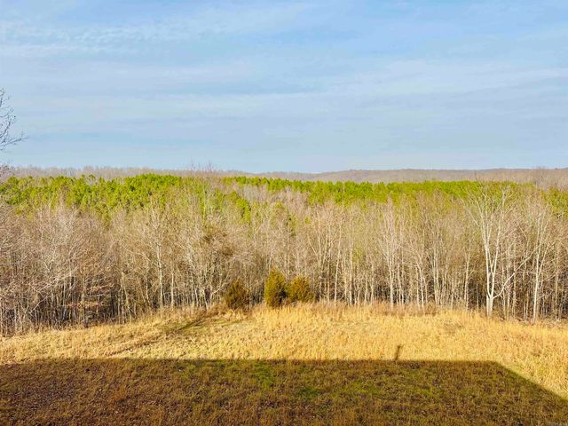 1918 Ridge Road, Mountain View, AR 72560