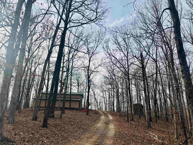 1918 Ridge Road, Mountain View, AR 72560