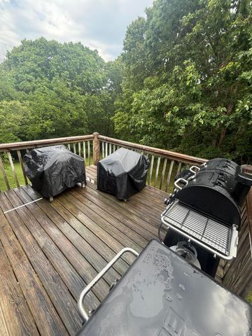 120 Sunny Lane, Branson West, MO 65737