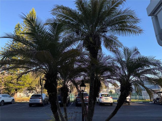 2111 VISTA DEL SOL CIRCLE 403, Lutz, FL 33558