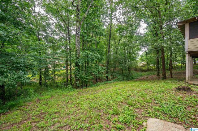 13265 DONNA DRIVE, Lake View, AL 35111