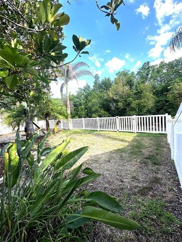 19310 WEEDON COURT, Land O Lakes, FL 34638