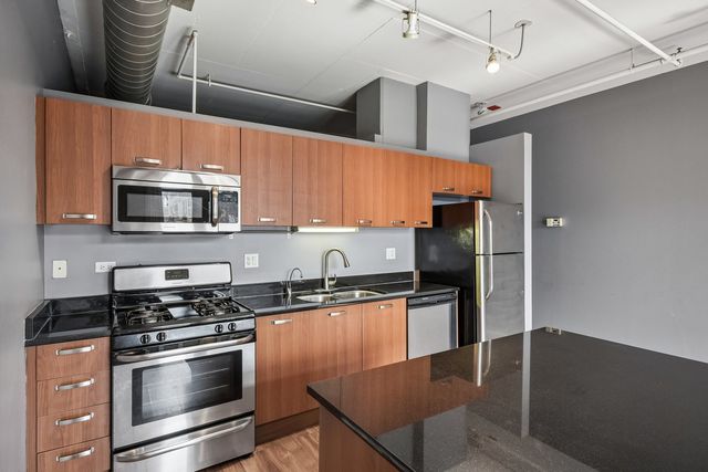 212 E Cullerton Street 409, Chicago, IL 60616