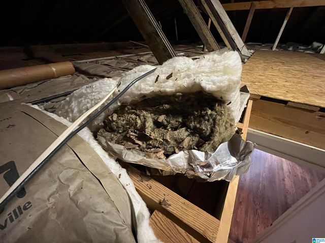 1103 ALEXANDRIA ROAD, Weaver, AL 36271