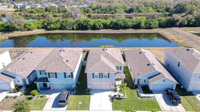 11906 DOWNY BIRCH DRIVE, Riverview, FL 33569