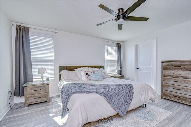 11906 DOWNY BIRCH DRIVE, Riverview, FL 33569