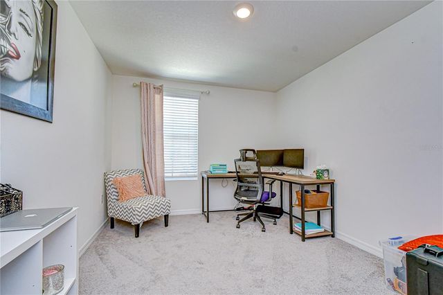 11906 DOWNY BIRCH DRIVE, Riverview, FL 33569