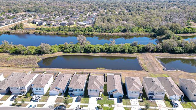 11906 DOWNY BIRCH DRIVE, Riverview, FL 33569