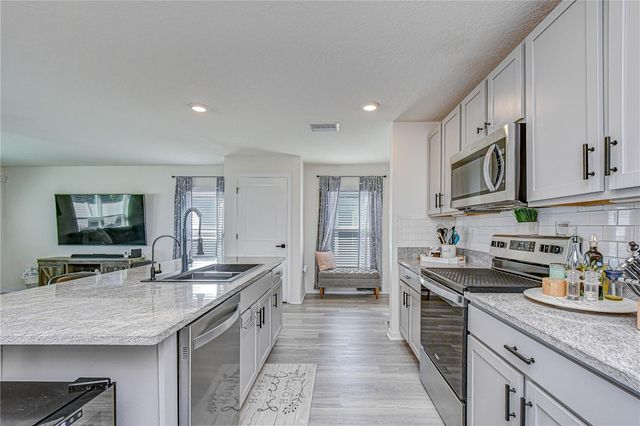 11906 DOWNY BIRCH DRIVE, Riverview, FL 33569