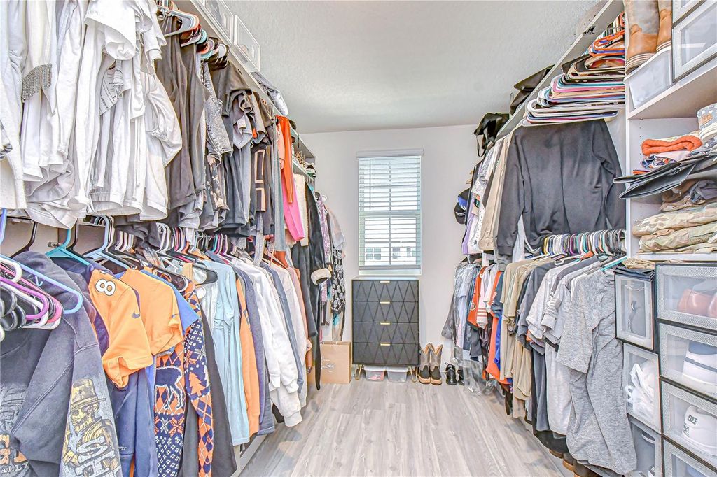 Image 17 of property listing at 11906 DOWNY BIRCH DRIVE, Riverview, FL 33569