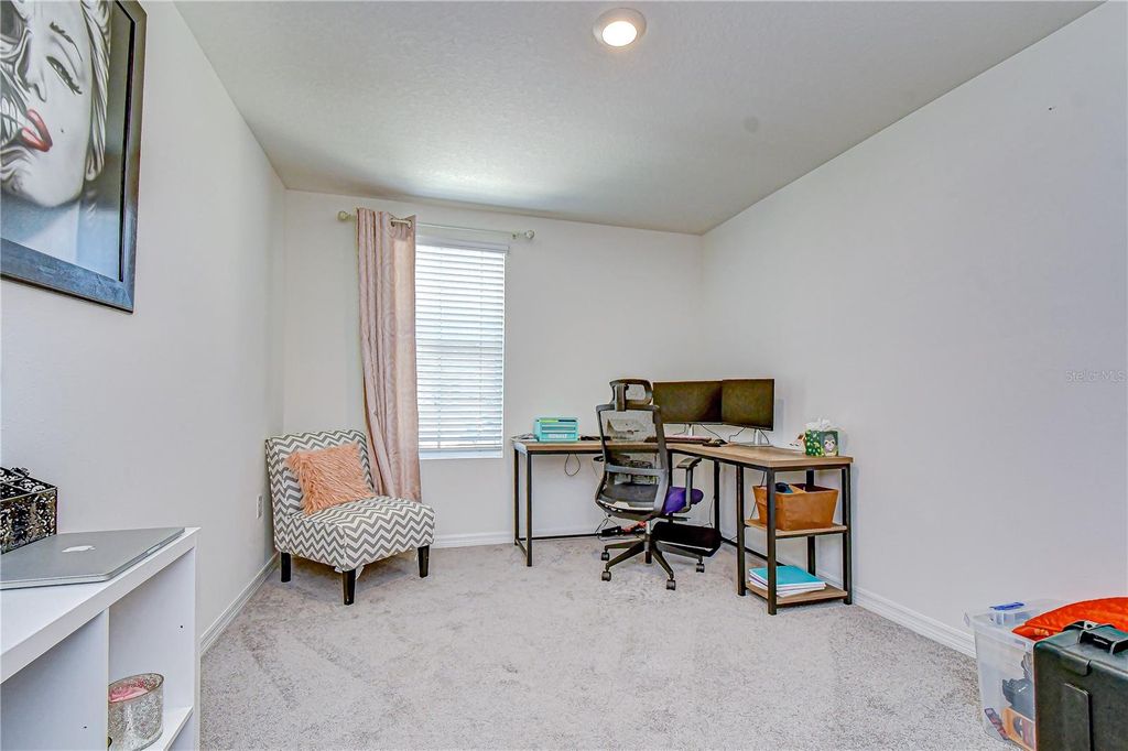 Image 20 of property listing at 11906 DOWNY BIRCH DRIVE, Riverview, FL 33569