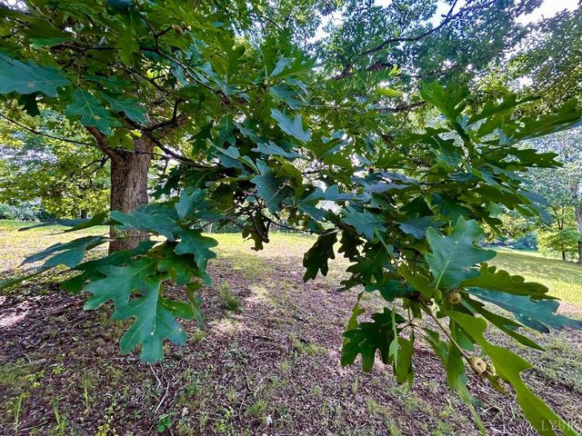 0 Stewartsville Rd, Vinton, VA 24179