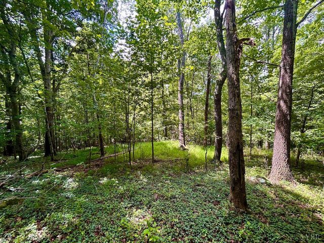 0 Stewartsville Rd, Vinton, VA 24179
