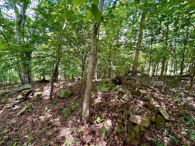 0 Stewartsville Rd, Vinton, VA 24179