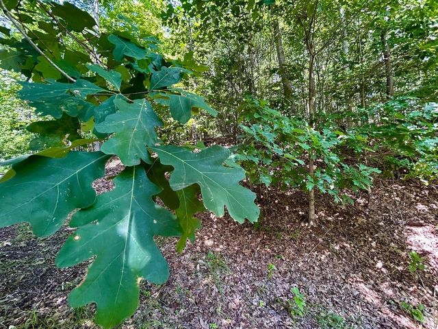 0 Stewartsville Rd, Vinton, VA 24179