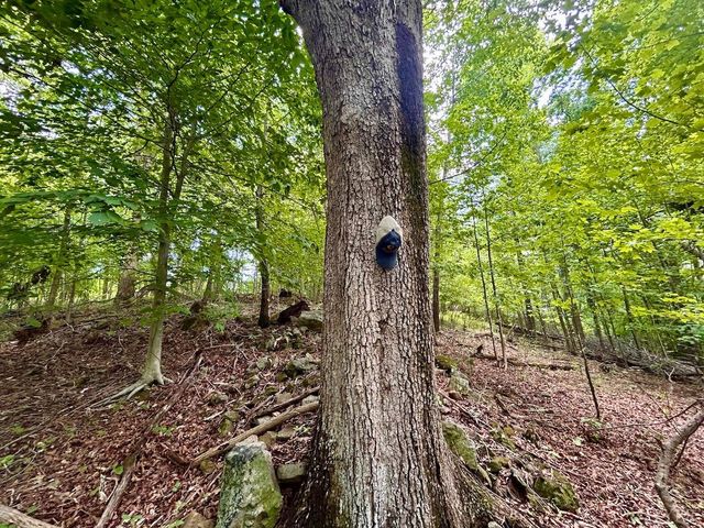 0 Stewartsville Rd, Vinton, VA 24179