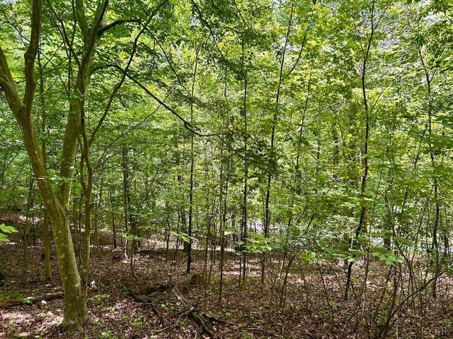 0 Stewartsville Rd, Vinton, VA 24179