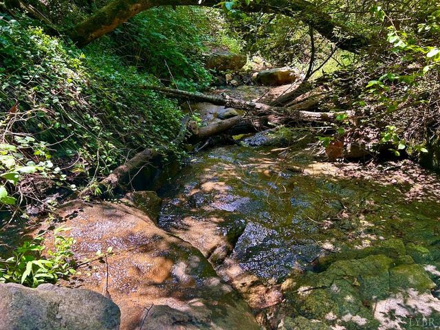 0 Stewartsville Rd, Vinton, VA 24179