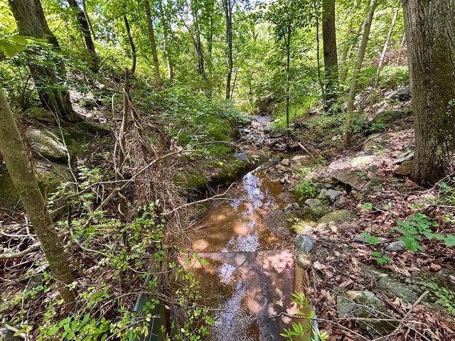 0 Stewartsville Rd, Vinton, VA 24179