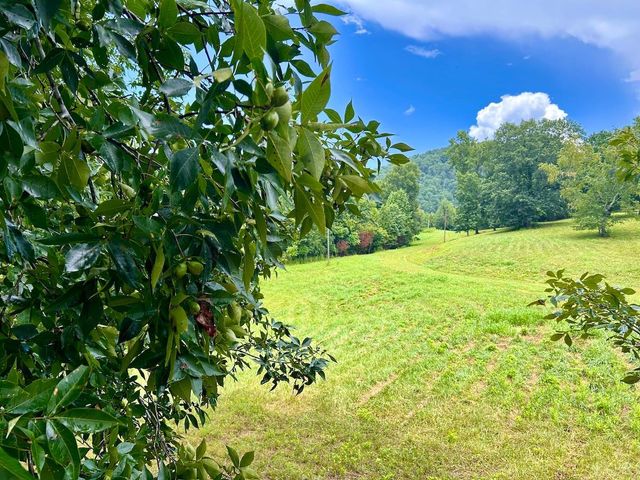 0 Stewartsville Rd, Vinton, VA 24179