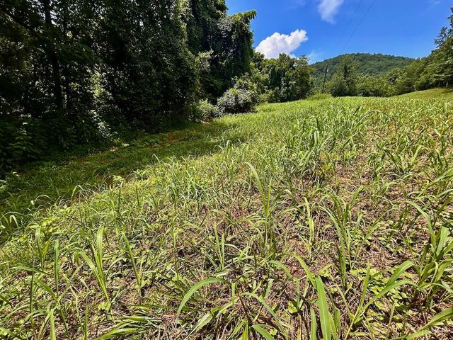 0 Stewartsville Rd, Vinton, VA 24179