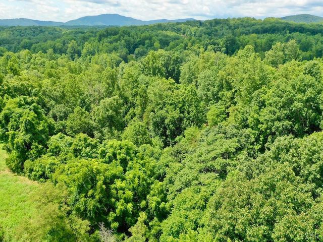 0 Stewartsville Rd, Vinton, VA 24179