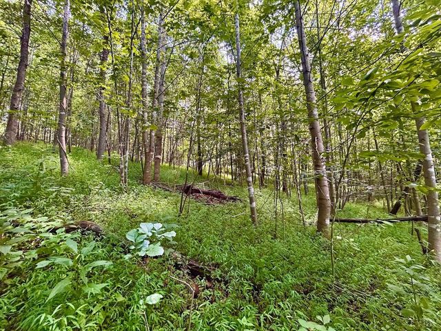 0 Stewartsville Rd, Vinton, VA 24179