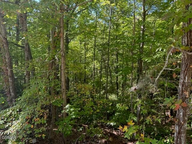 Lot 17 Deer Path Lane, Gatlinburg, TN 37738