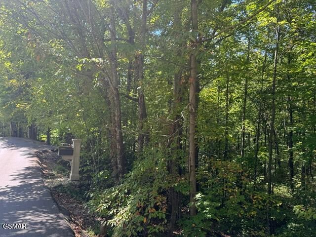 Lot 17 Deer Path Lane, Gatlinburg, TN 37738