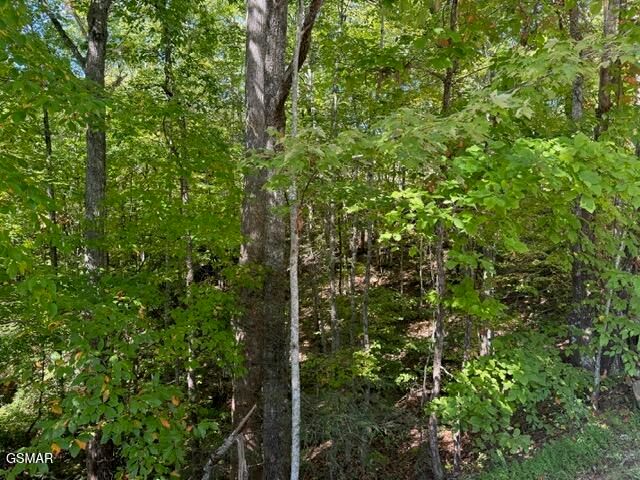 Lot 17 Deer Path Lane, Gatlinburg, TN 37738