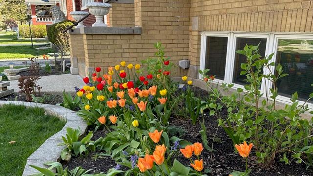 3237 Sunnyside Avenue, Brookfield, IL 60513