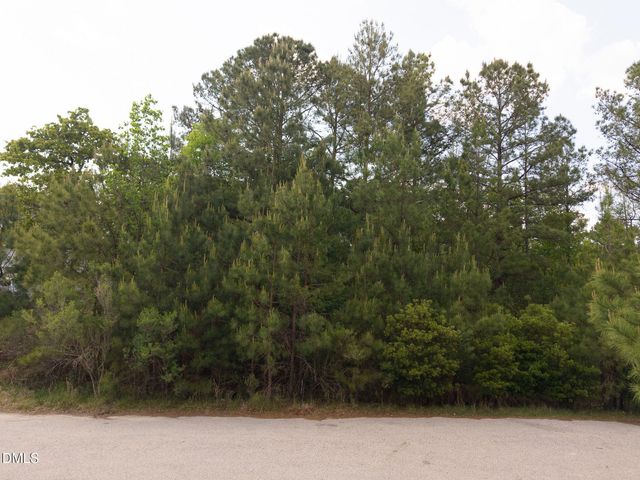 127 Chason Terrace, Sanford, NC 27332