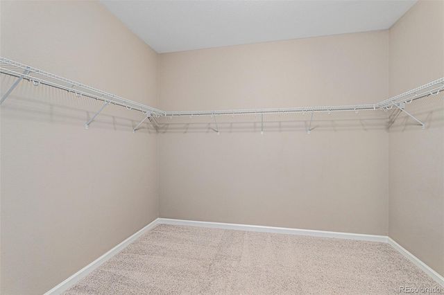 7287 Greenwater Circle, Castle Rock, CO 80108