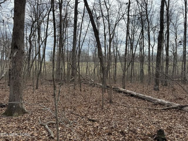 1261 Roanoke Rd, Jamestown, TN 38556