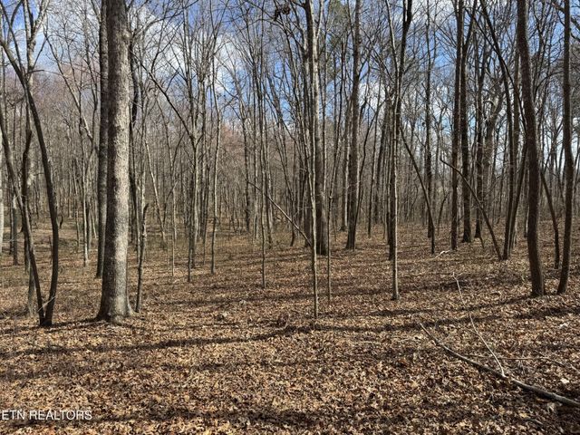 1261 Roanoke Rd, Jamestown, TN 38556