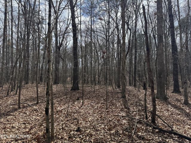 1261 Roanoke Rd, Jamestown, TN 38556