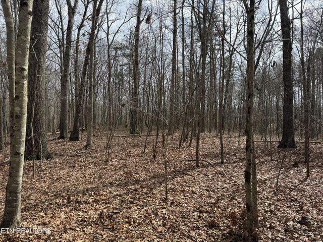 1261 Roanoke Rd, Jamestown, TN 38556