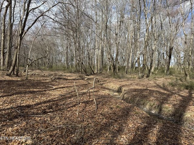 1261 Roanoke Rd, Jamestown, TN 38556