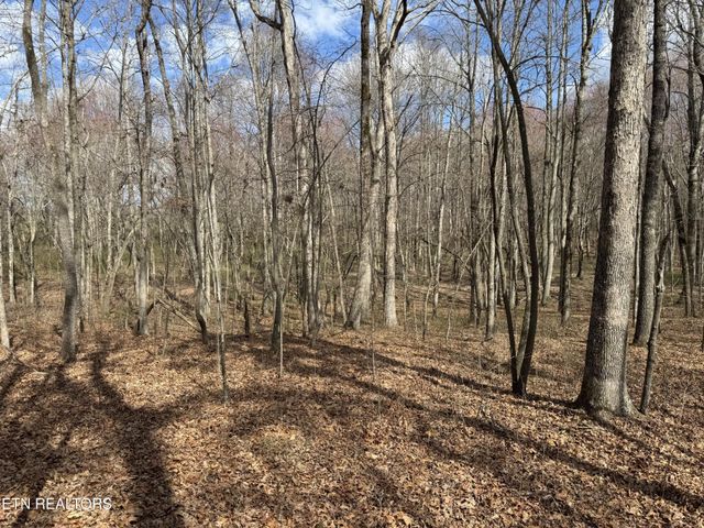 1261 Roanoke Rd, Jamestown, TN 38556