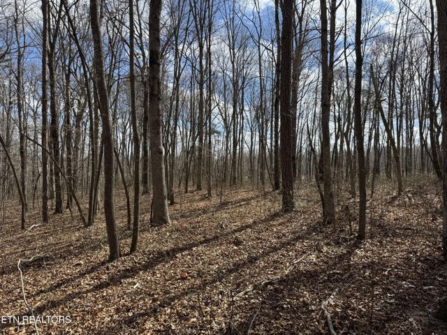 1261 Roanoke Rd, Jamestown, TN 38556