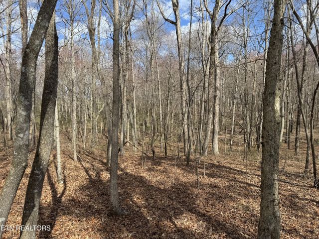 1261 Roanoke Rd, Jamestown, TN 38556