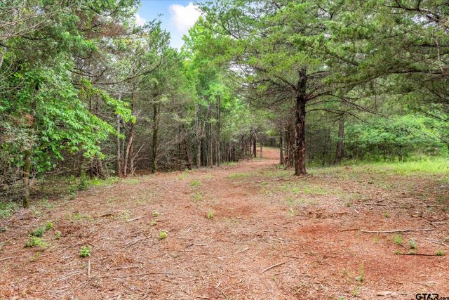 TBD C R 440, Lindale, TX 75771