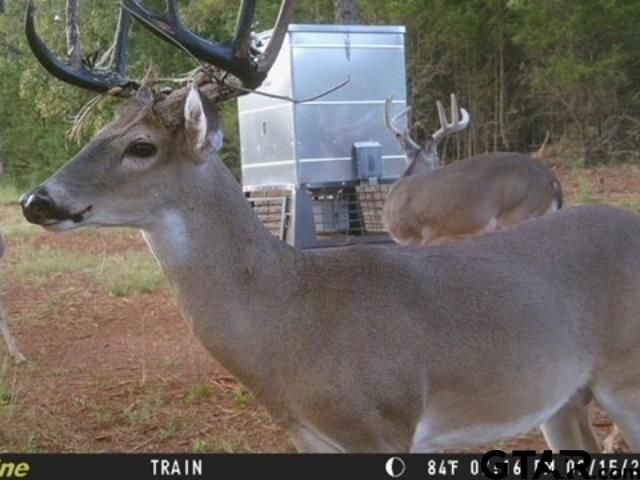 TBD C R 440, Lindale, TX 75771