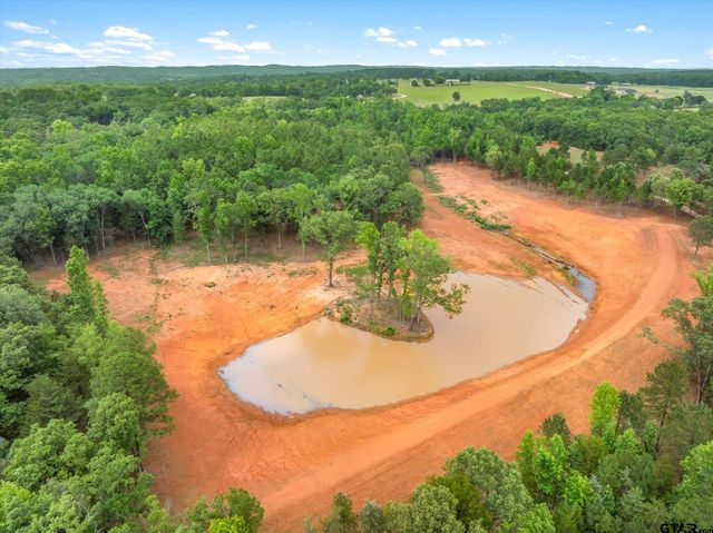 TBD C R 440, Lindale, TX 75771