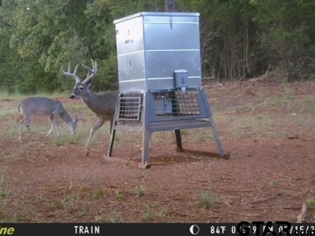 TBD C R 440, Lindale, TX 75771