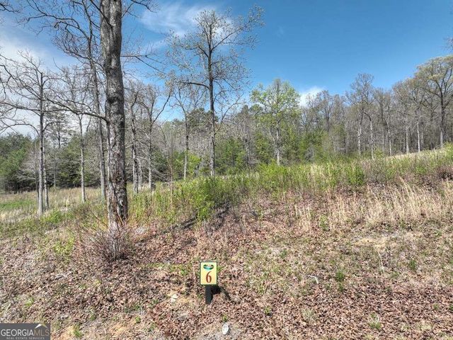 6 Arbor Creek Trail 6, Mineral Bluff, GA 30559