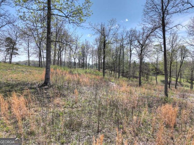 6 Arbor Creek Trail 6, Mineral Bluff, GA 30559