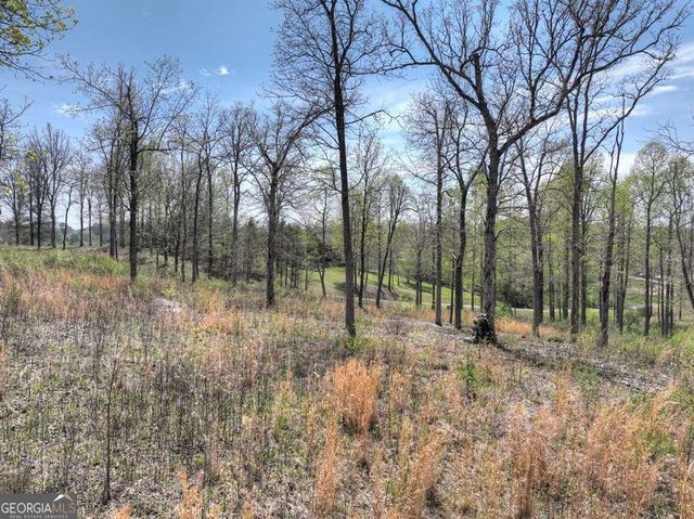 6 Arbor Creek Trail 6, Mineral Bluff, GA 30559